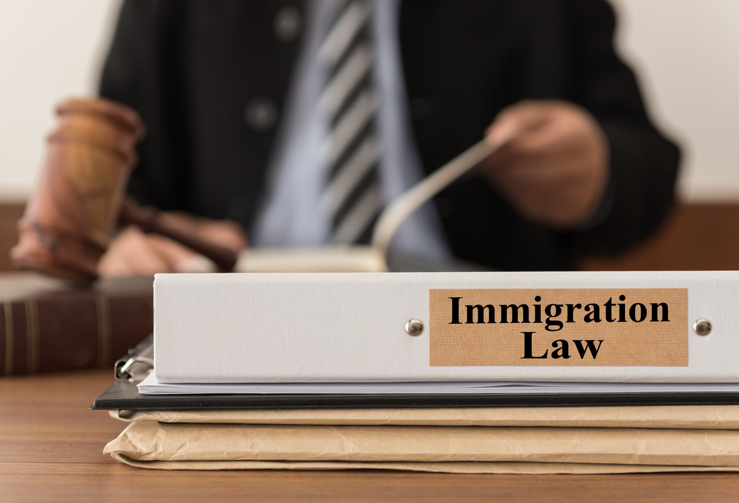 an immigration lawyer